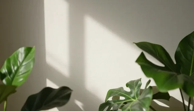 网络负载过高如何影响短视频运营效果